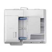 Epson B11B204221 escáner Escáner de base plana y ADF 600 x 600 DPI A4 Blanco