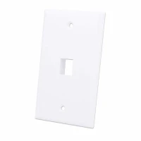 Intellinet 163286 placa de pared o cubierta de interruptor Blanco