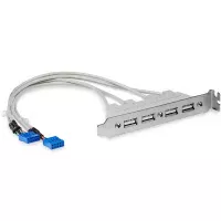 StarTech.com Cabezal Bracket de 4 puertos USB 2.0 con Conexión a Placa Base 2x IDC10