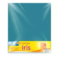 CARTULINA EUROMAC IRIS AZUL TURQ 50X65CM C/10